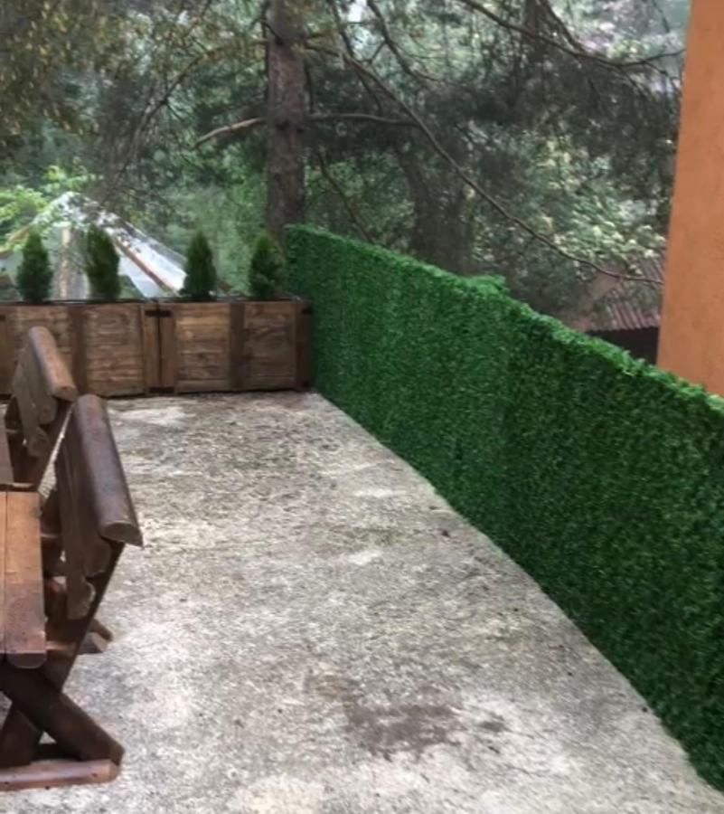 Villa Veselica Divčibare Esterno foto