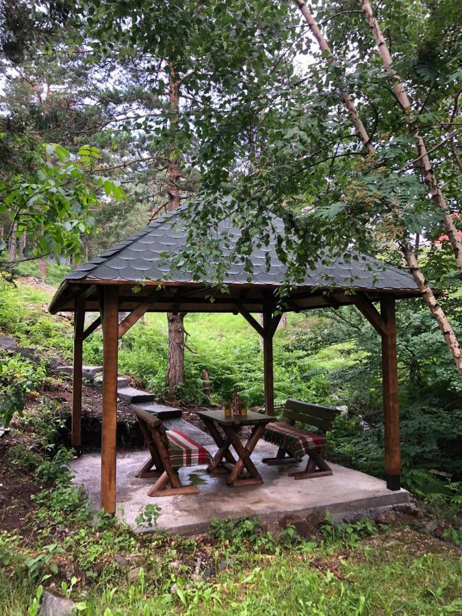 Villa Veselica Divčibare Esterno foto