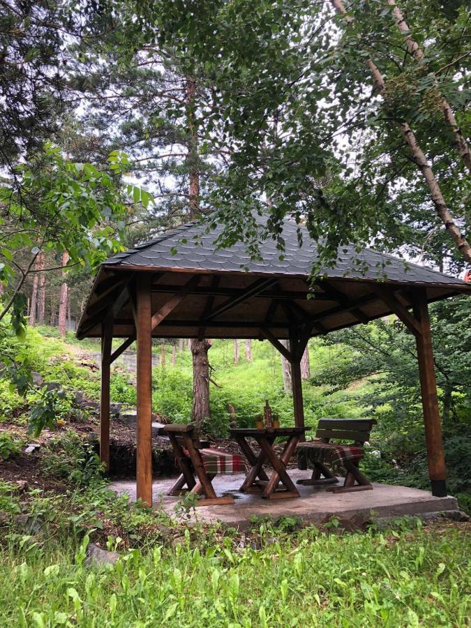 Villa Veselica Divčibare Esterno foto